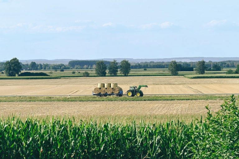 field, tractor, hay bales, agriculture, summer day, rural landscape, plants, straw, horizon, tractor in field, grass, plowing, grain, transport, harvest, ecology, landscape, nature, farmer, sky